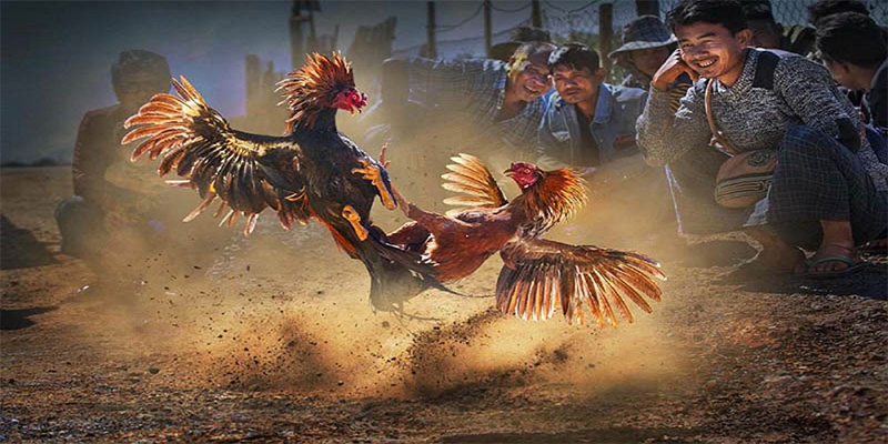 chơi bắn cá đổi thưởng