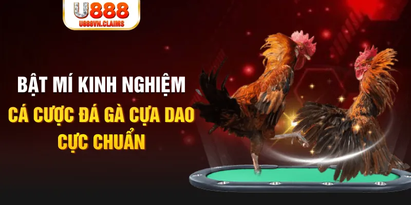 vtc gam tỷ lệ cá cược châu á là gì