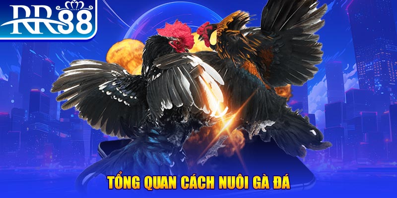 vtc gam VA Điện Tử