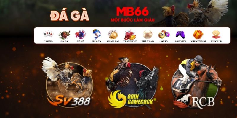 vtc gam đăng nhập poker số 1