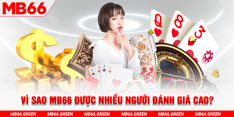 vtc gam đá gà