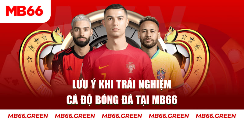 vtc gam cá cược là gì