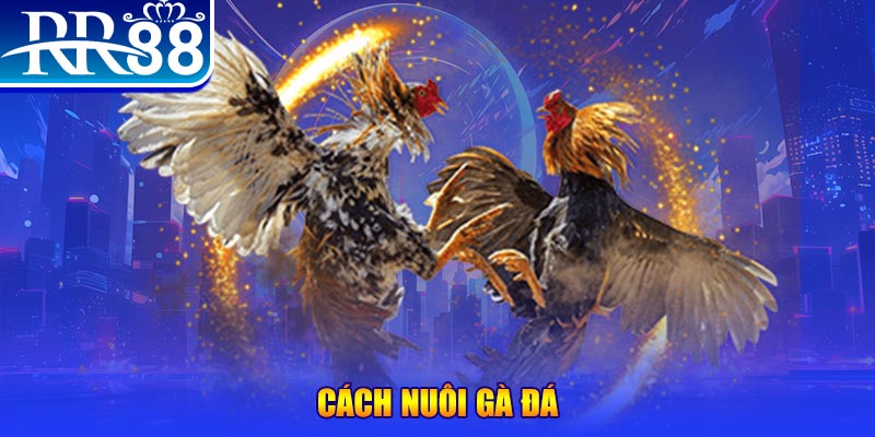 vtc gam xổ số an giang