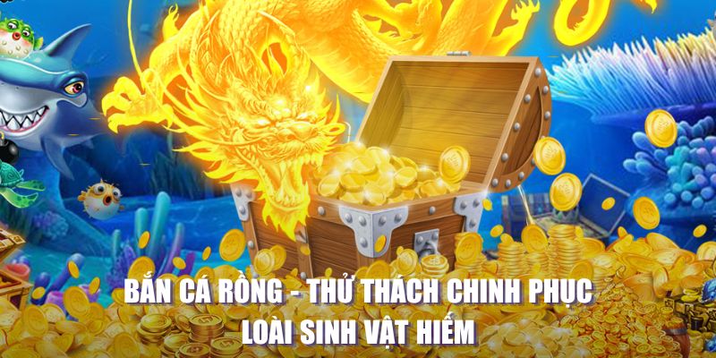 vtc gam máy slot game là loại trò chơi gì？