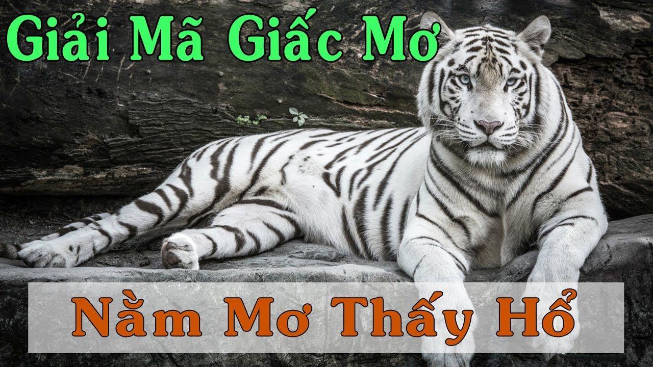 vtc gam WM Trực Tuyến