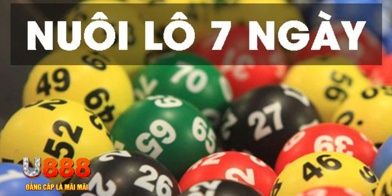 vtc gam slot là j