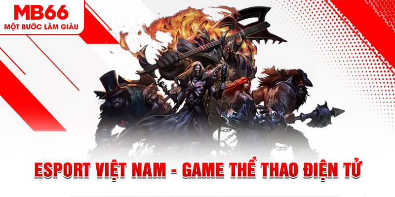 vtc gam what are the most popular casino games