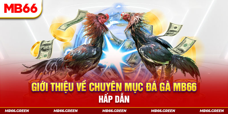 vtc gam đăng nhập sòng bạc đổi thưởng