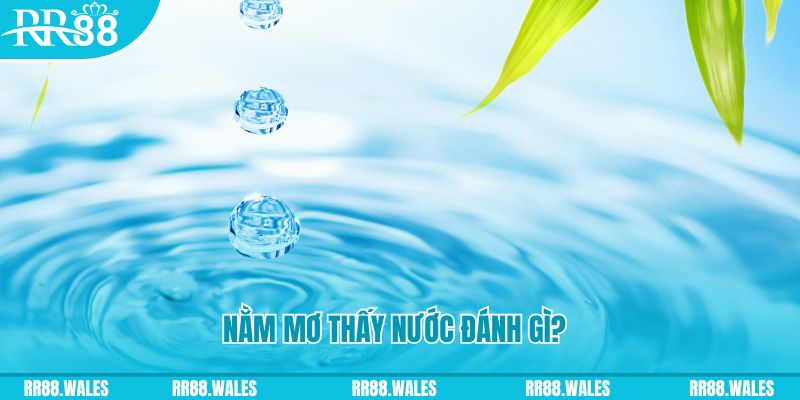 vtc gam TP Bắn cá