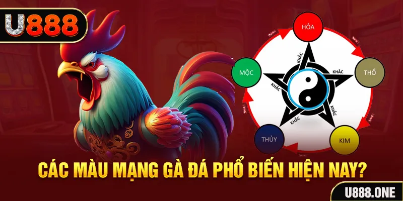vtc gam trực tiếp đá gà 88