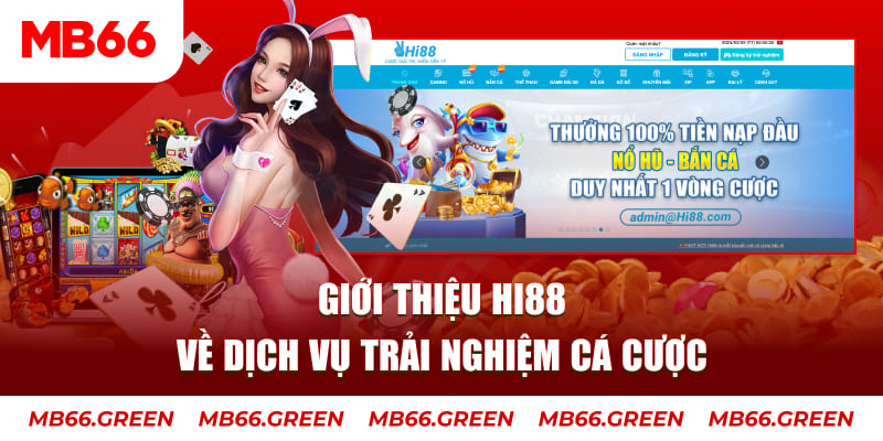 vtc gam ga choi hoa phong