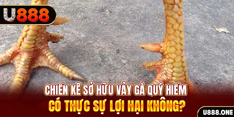 vtc gam nohu .mx nổ hủ là gì