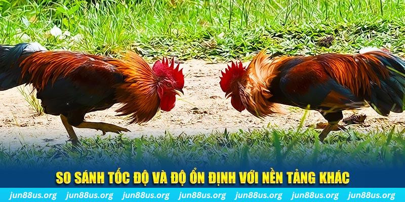 vtc gam đá gà hôm nay