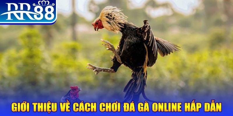 vtc gam game nổ hũ rút tiền mặt là gì