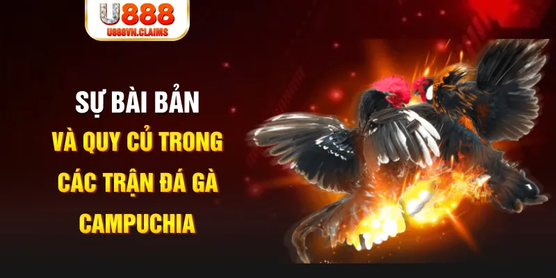 vtc gam YGR Điện Tử