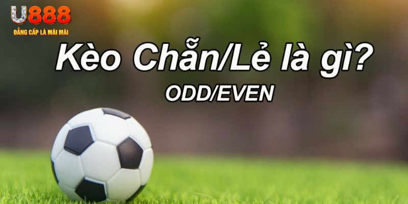 vtc gam đăng nhập poker hôm nay