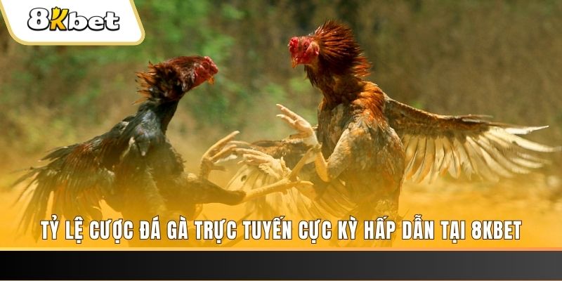 vtc gam đăng nhập phỏm trực tiếp