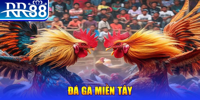 vtc gam đăng nhập nổ hũ