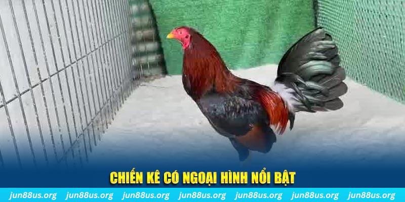 vtc gam chạy quảng cáo cho game bài bị phạt như thế nào