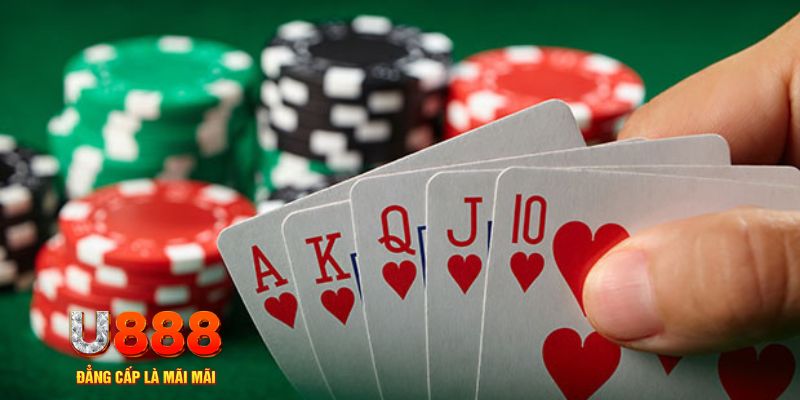 vtc gam đá gà trực tiếp thomo 67